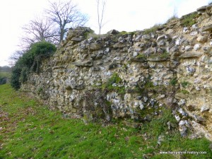 Anglo Saxon Hampshire