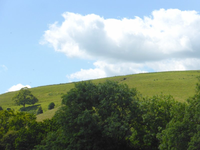 Waller's Troops Mustered on the hills around East Meon