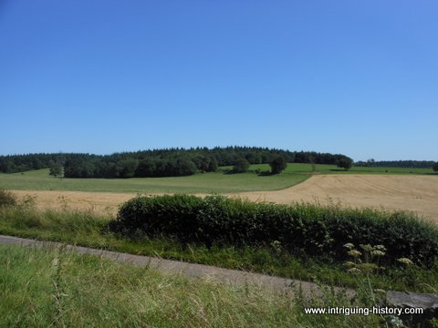 Cheriton Wood