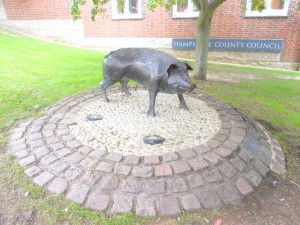 Hampshire Hog in Winchester