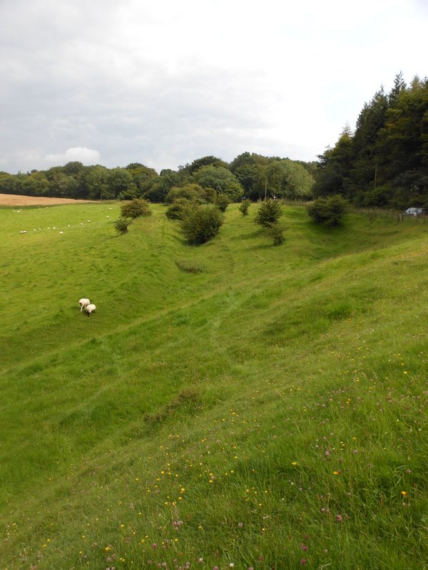 Earthworks on Heydon Down above East Meon