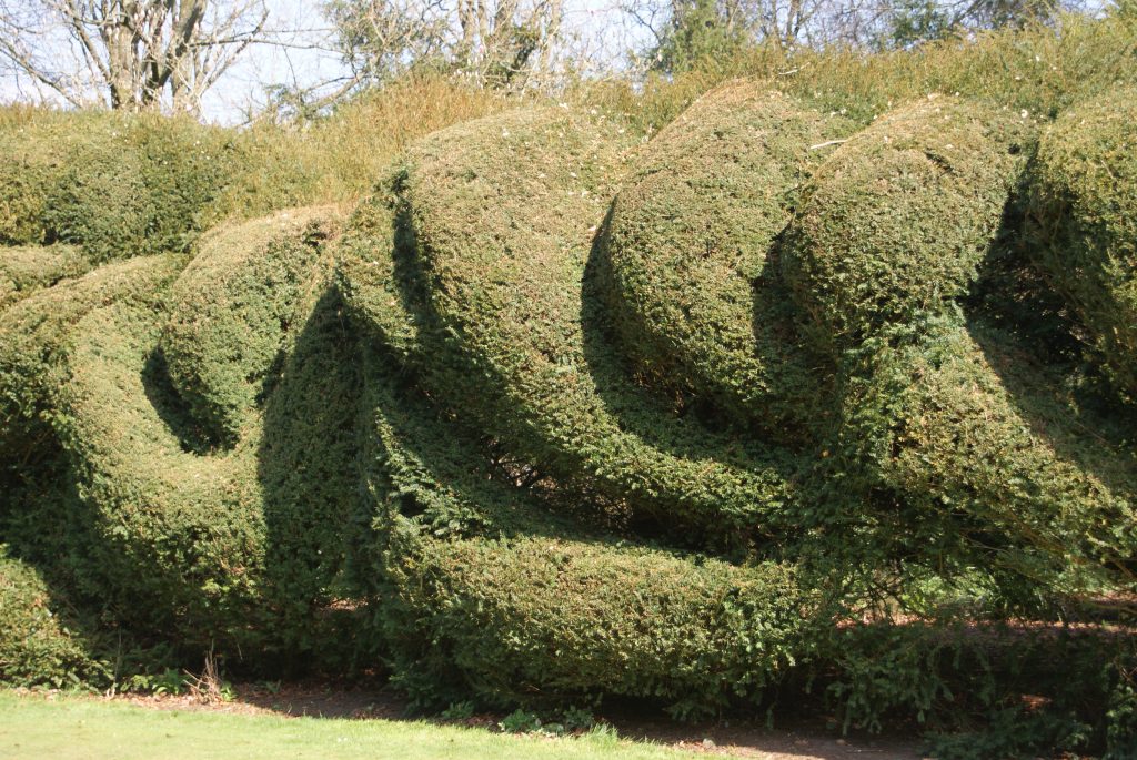 Hinton Ampner