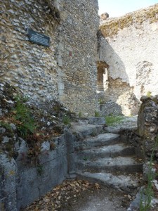 Bishop's Waltham Palace