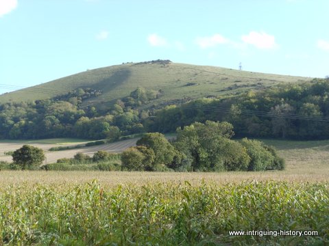 Butser Ancient Farm