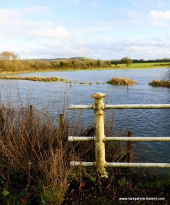 River Meon at Exton