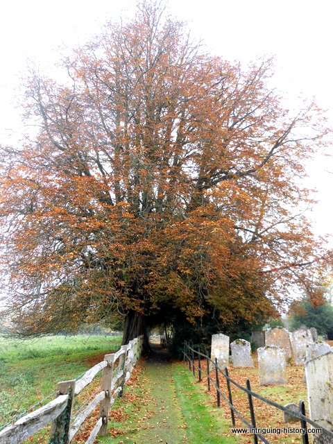 Churchyard St Mary the Virgin Abbotts Ann