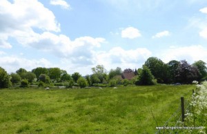 St Leonard's church Hartley Mauditt