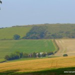 Hampshire Field Names