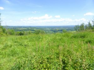 Ashford Hanger and William Cobbett