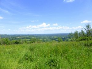 Ashford Hanger and William Cobbett