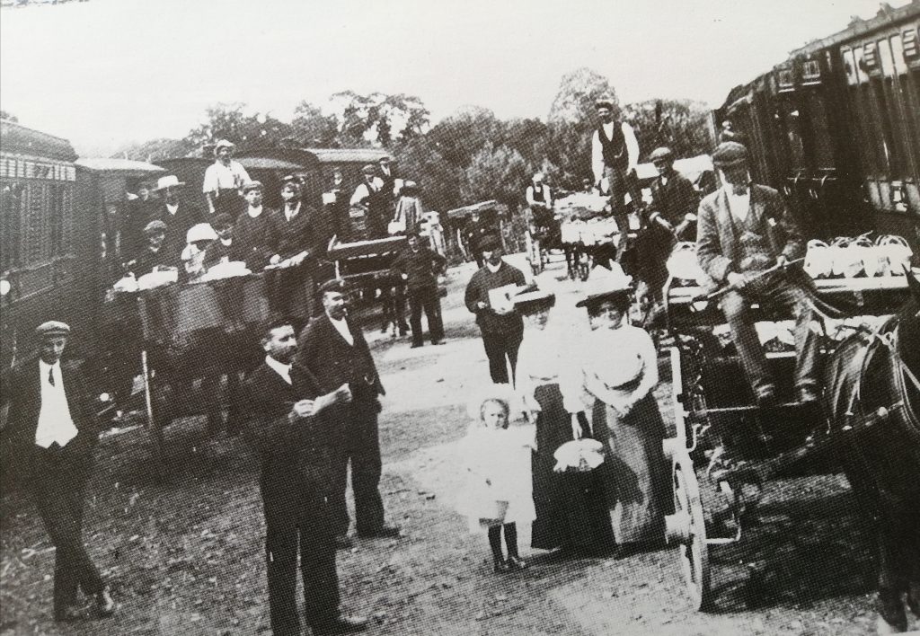 Hampshire in the Edwardian period