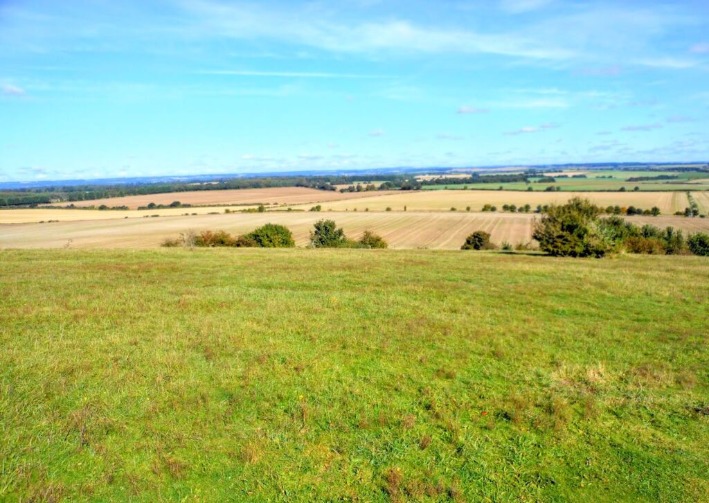 Danebury hillfort