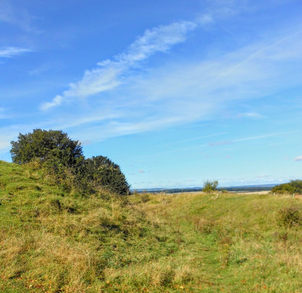 Danebury Ring